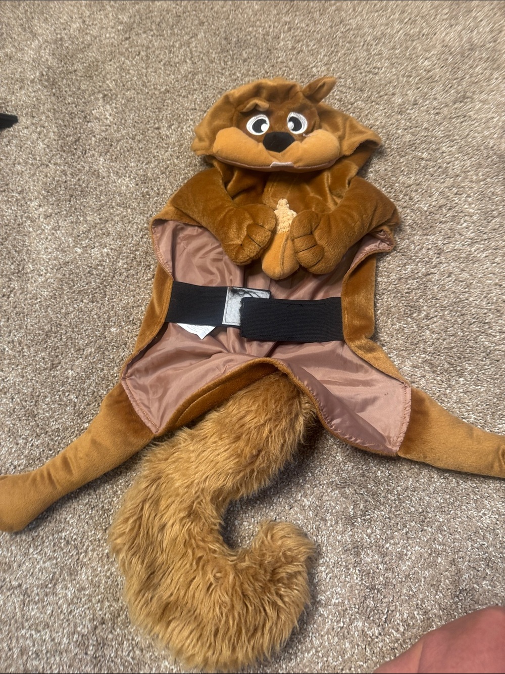 plush squirrel/chipmunk-style dog costume Halloween funny pet Costume SZ LG - Picture 7 of 10